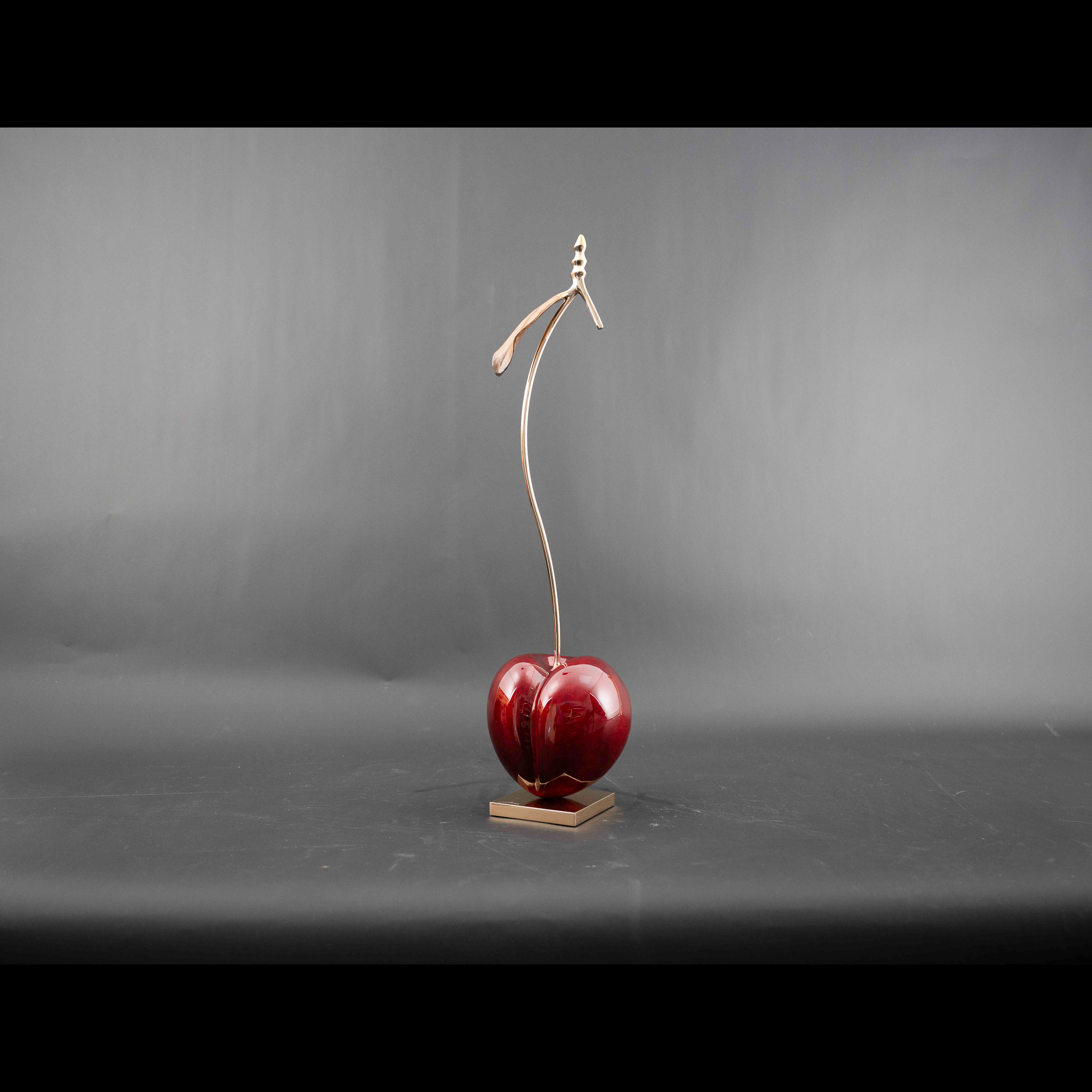 Tender Single Elegance