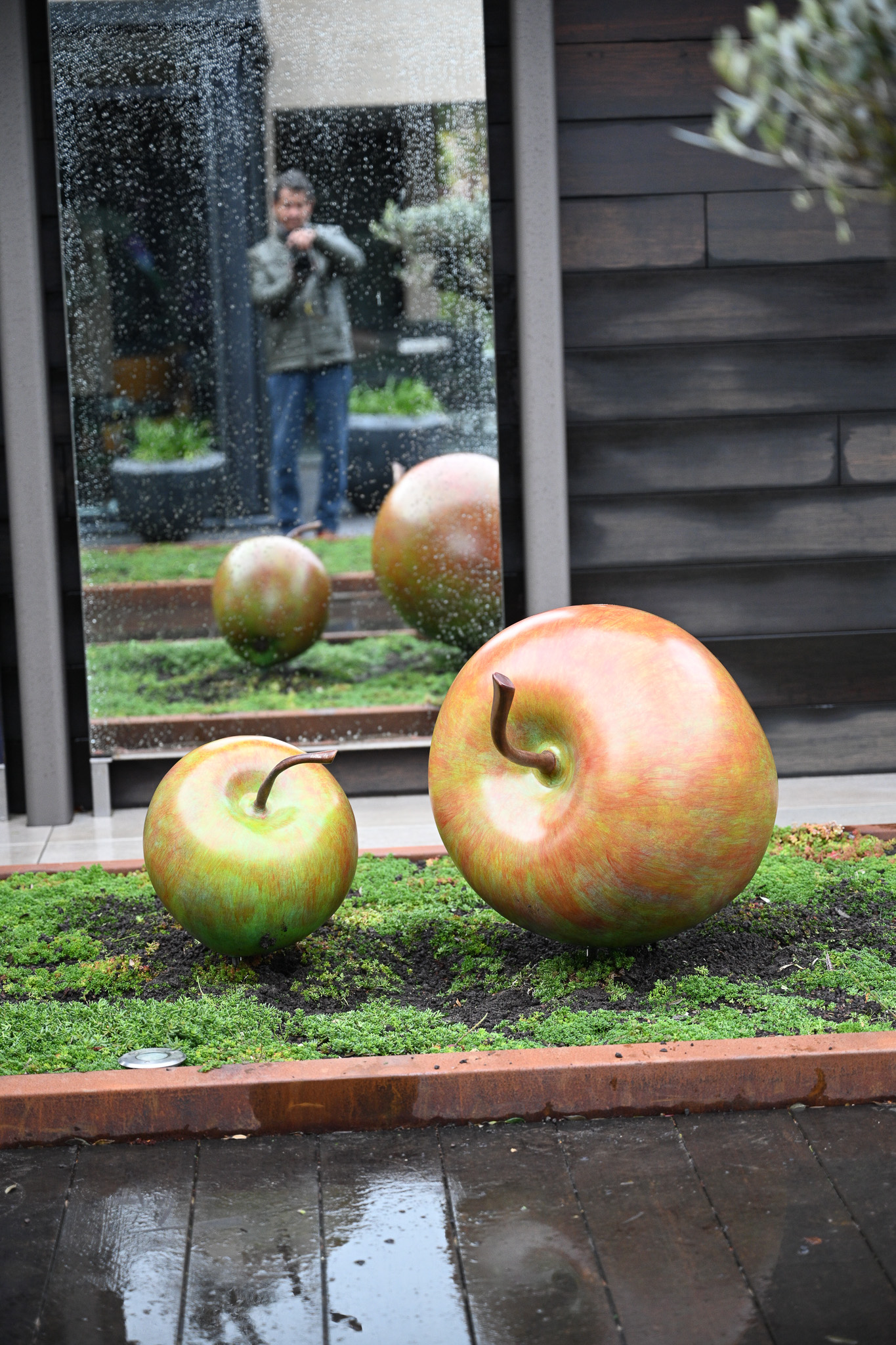 Apples for Garden
