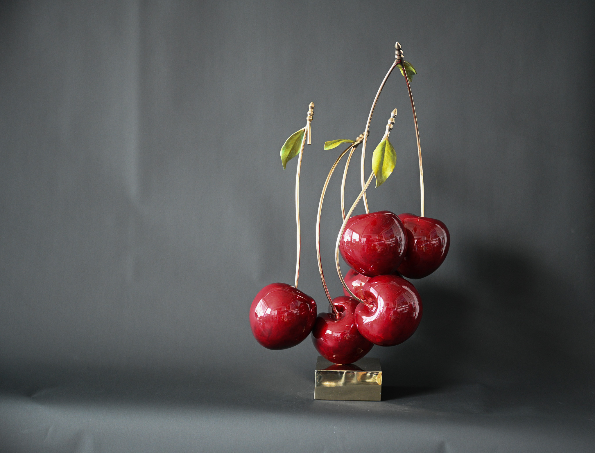 Celebration Tender 90 cm